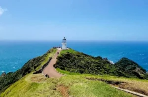 cape reinga